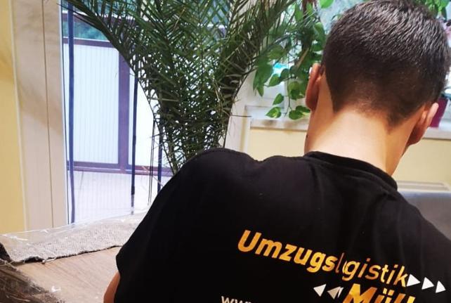 Behördenumzug Preise und Kosten Wilsdruff